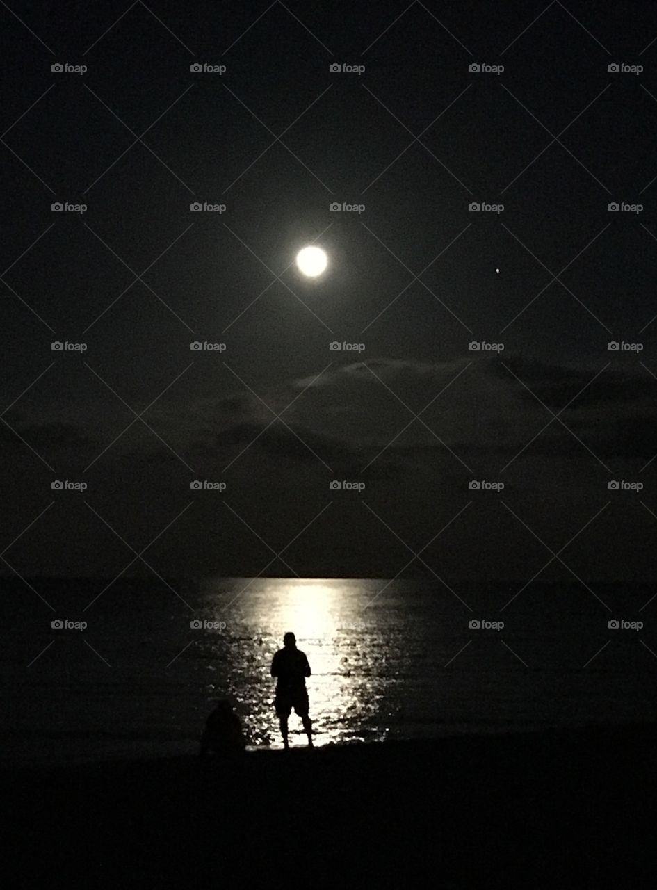 Man in the Moonlight 