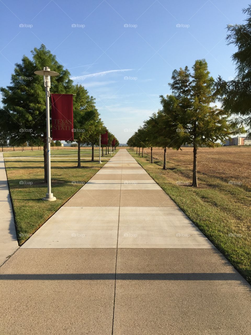 Walkway of the quad at Texas State University in Round Rock, Texas.