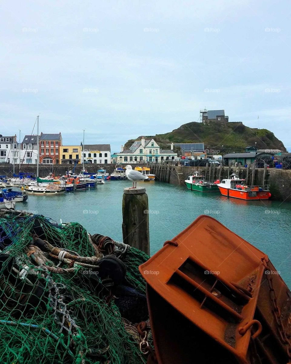 Ilfracombe harbour