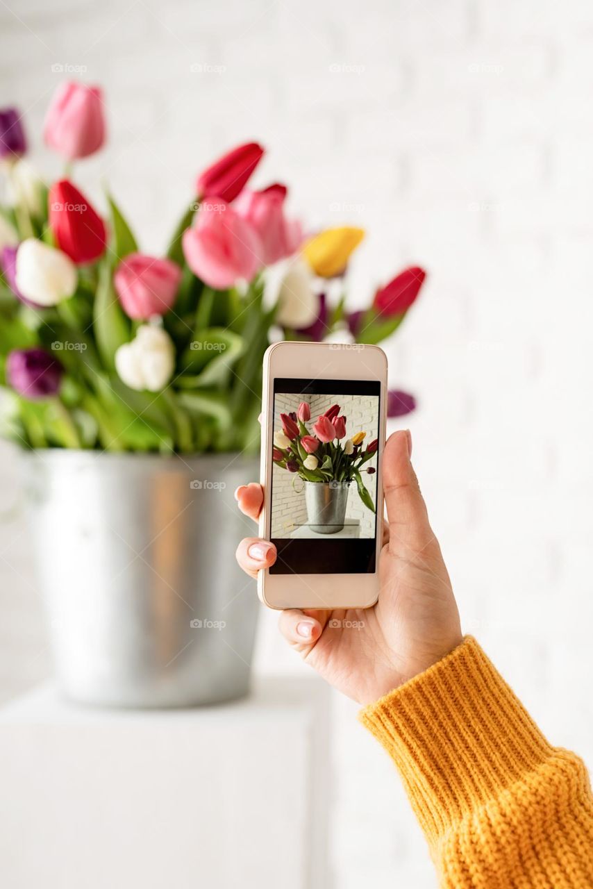 woman hand photographing flowers