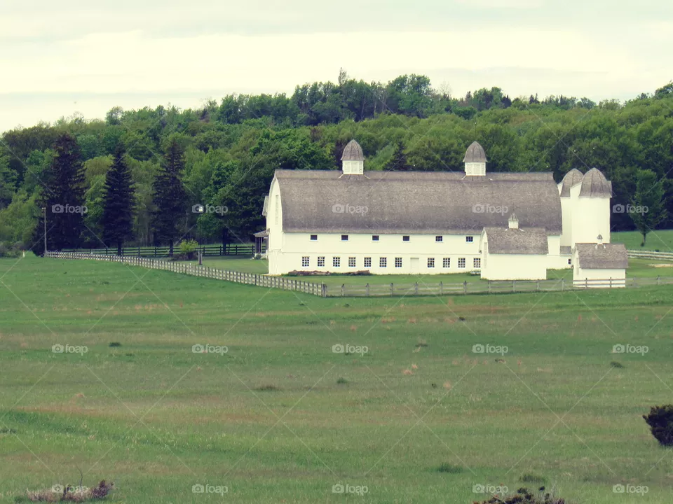 Old farm