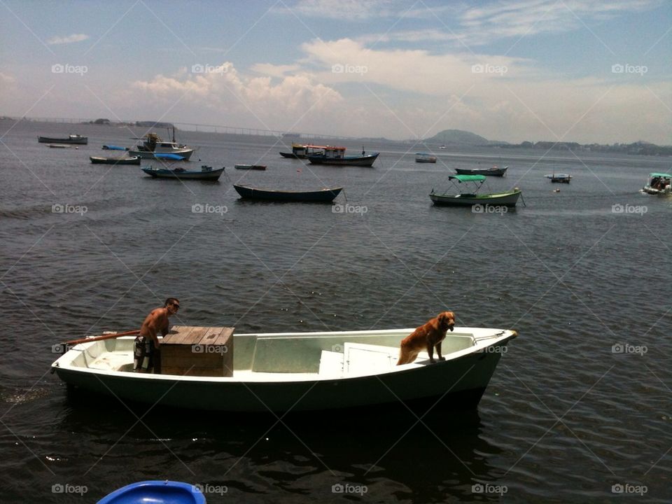 Dog boat
