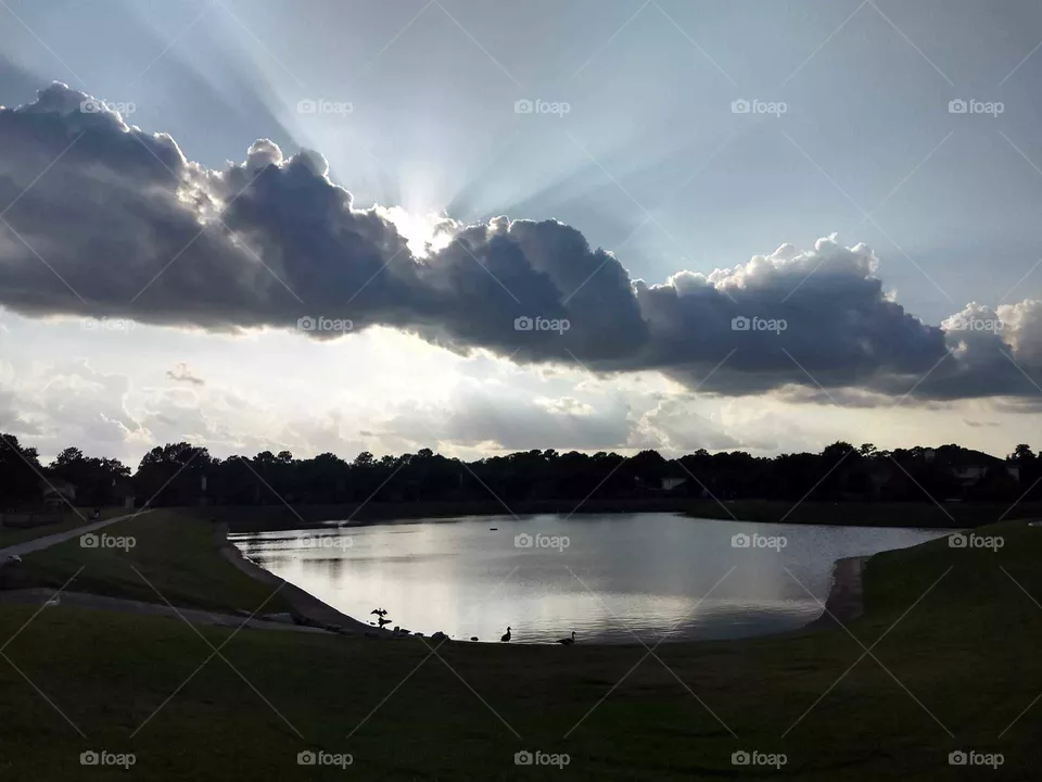Beautiful skylight at the park