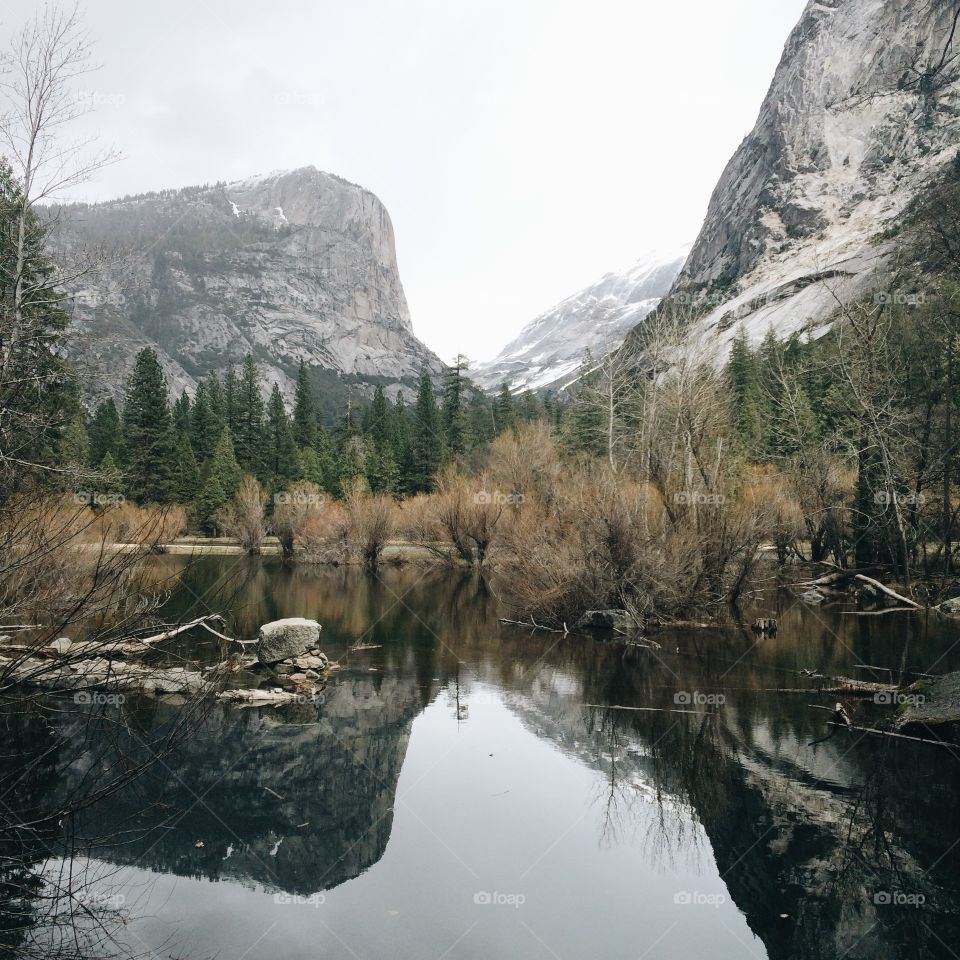 Rocky mountain and trees reflected in yosemite national park