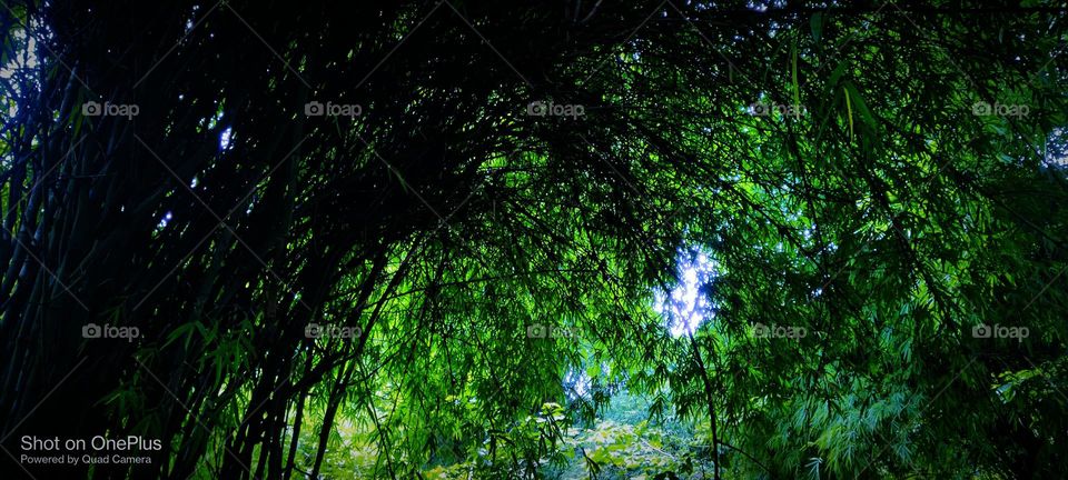 buty off nuchar 😍😍