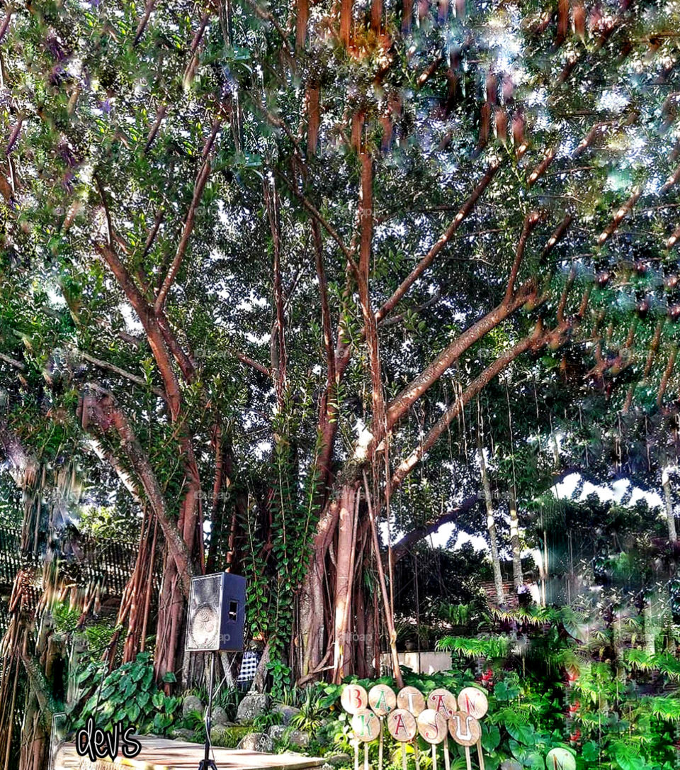 When the last tree is cut down, when the last river is emptied, when the last fish is caught, then man will realize that he cannot eat money
-- Eric Weiner ---