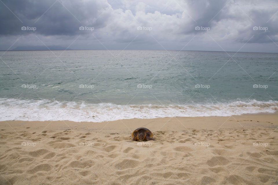 beach ocean clouds sand by swordfish