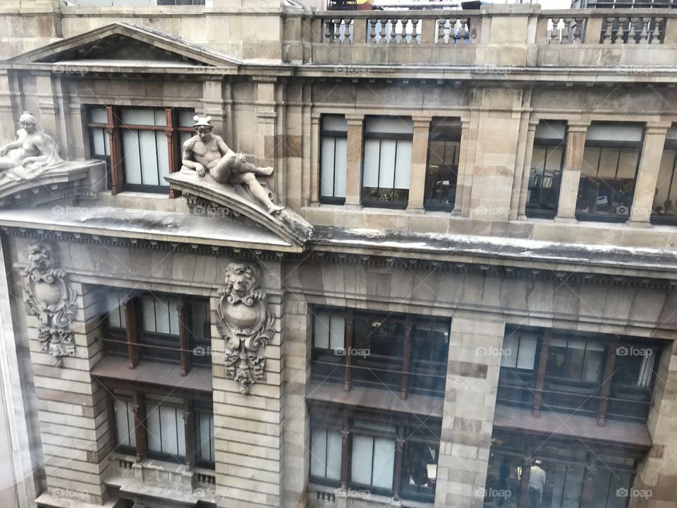 Steer view from hotel window 