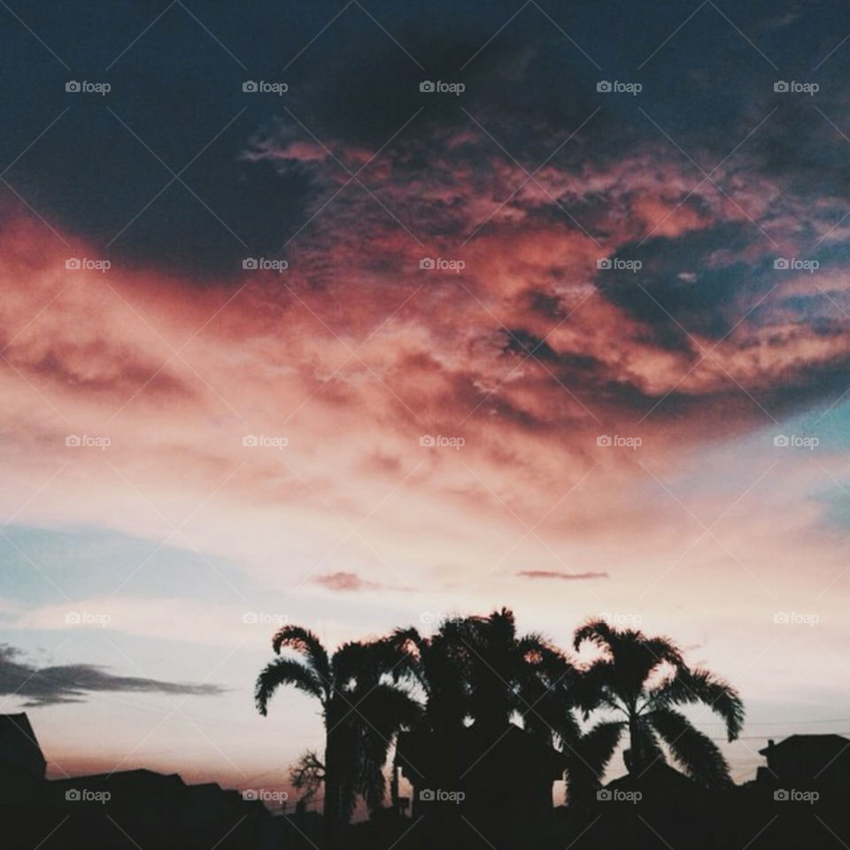 sunset, vanilla twilight, twilight, clouds, sky, pink, pink skiesminimal, minimalist, simplicity, art, aesthetic, white theme, instagram, artwork, tumblr, lifestyle, love, beautiful, cactus, green