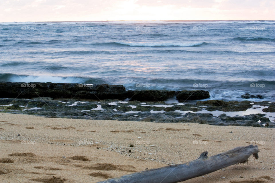 Driftwood at beach, Kauai