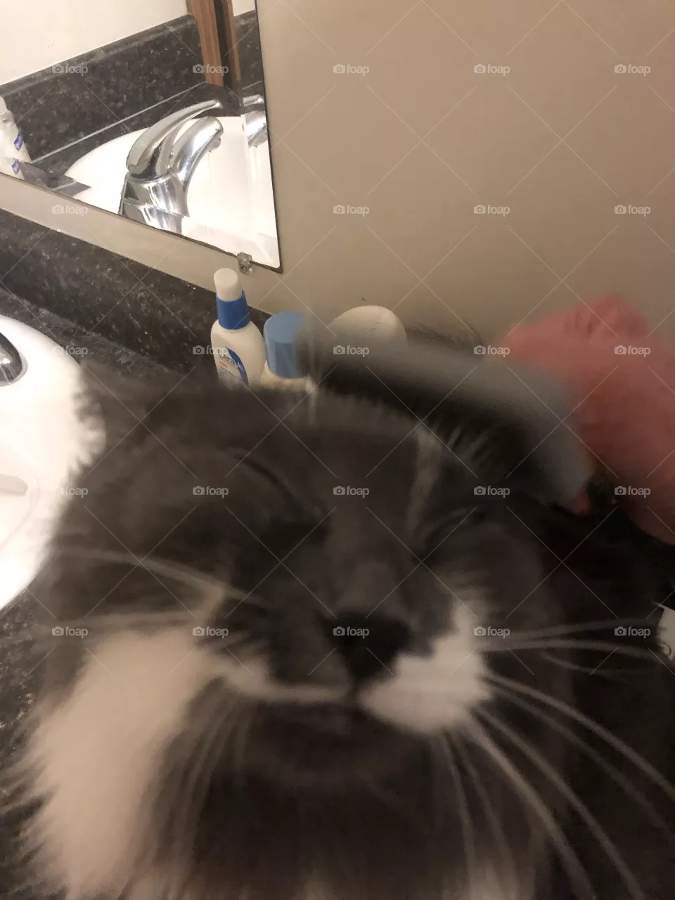 Brushing friend