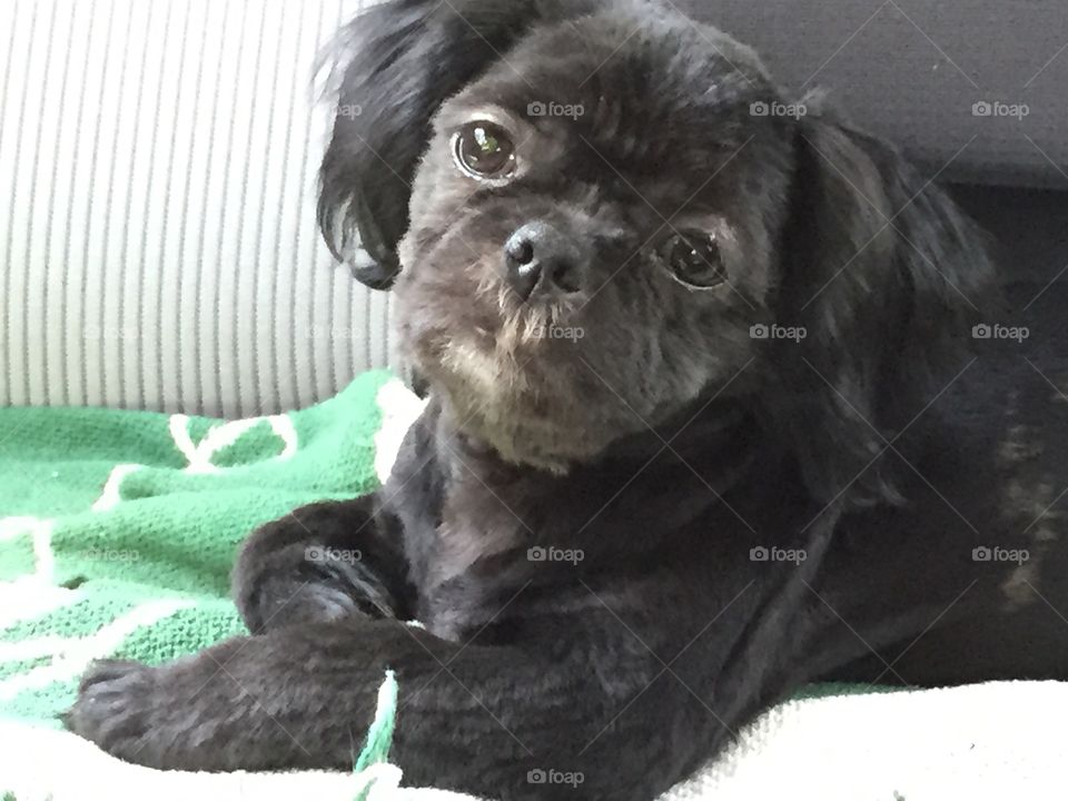 Posing for a picture 