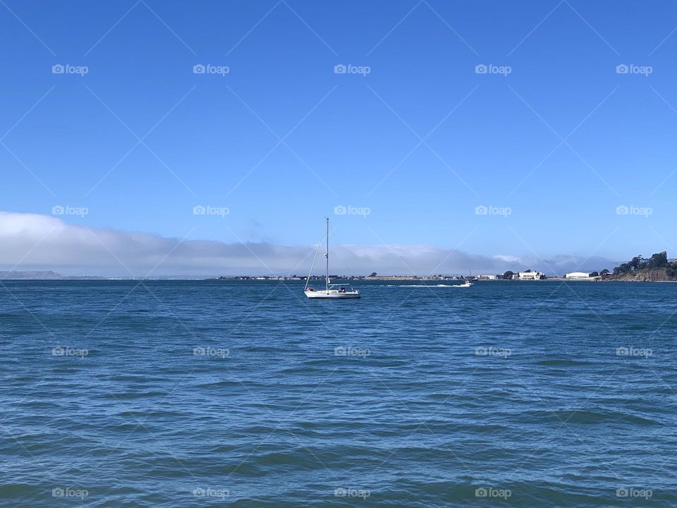 The photo of the week: good view in San Francisco 