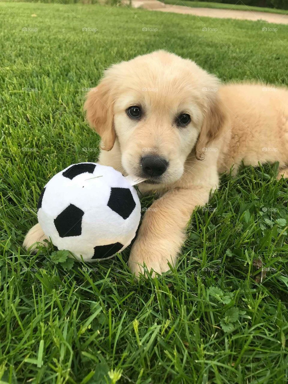 World cup is for me alone..... Bov vow...