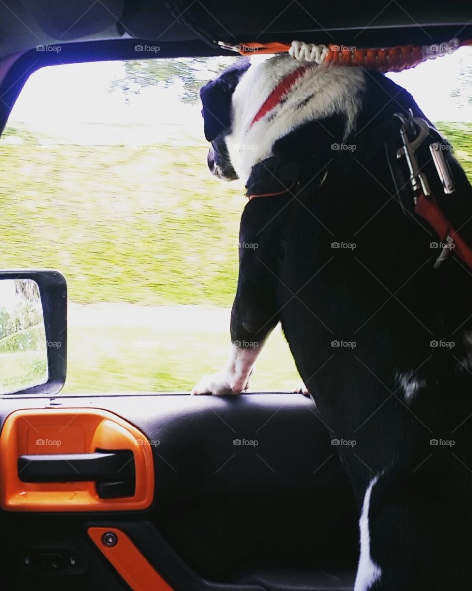 Determined to smell ALL the smells!!