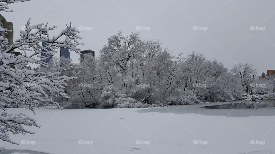 Winter in New York City. 🗽❄❄❄⛇☃🌨🌨🎄❄