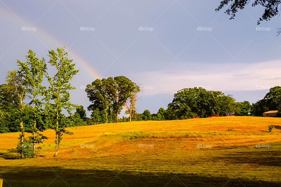 Rainbow and a field