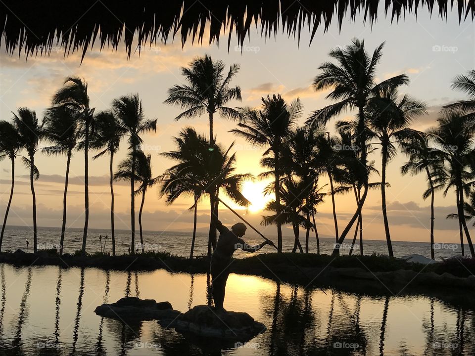 Sunset and Palm Trees in Maui