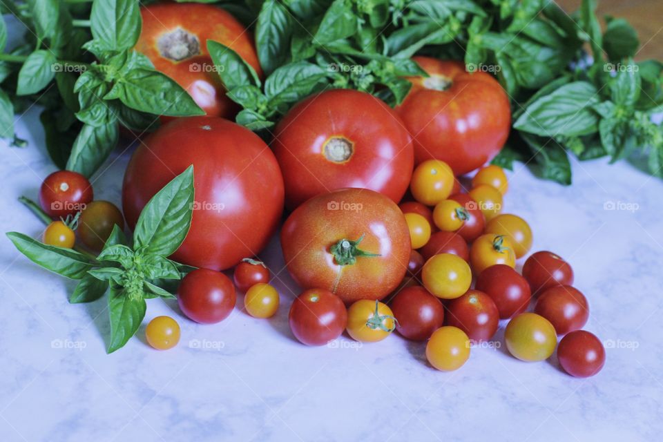 Tomato basil