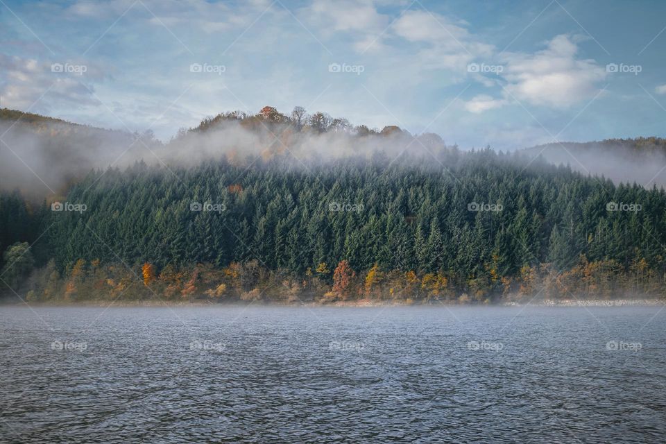 Early morning mist on lake, surrounded by trees.