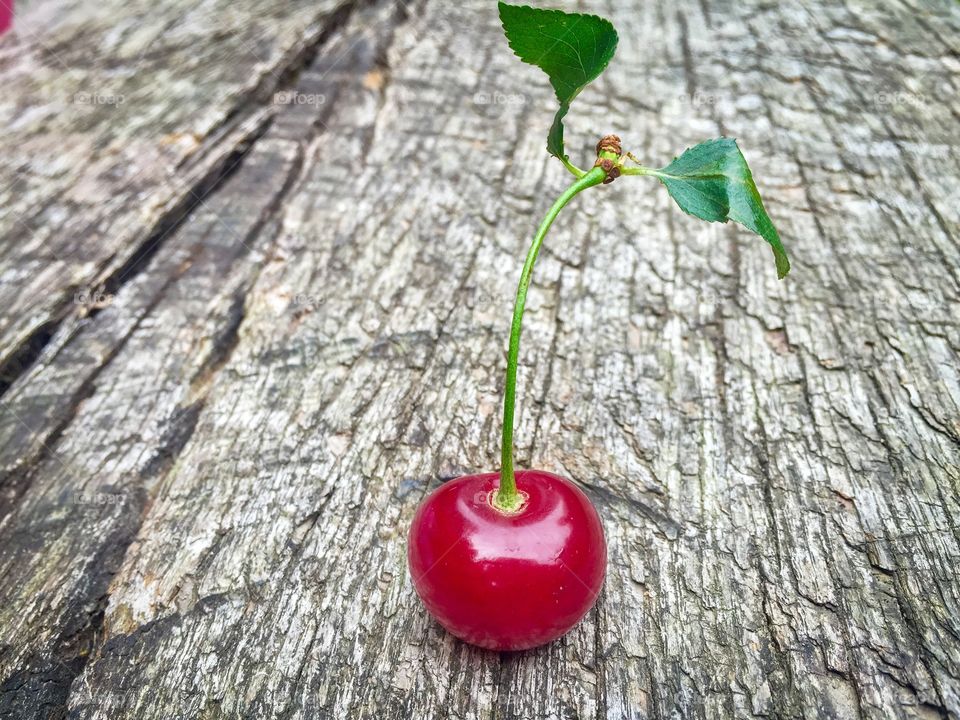 Close-up of red cherry on wooden