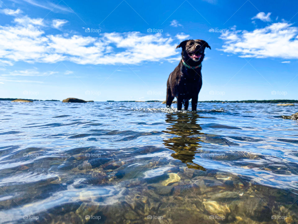 Cape Cod adventures. 