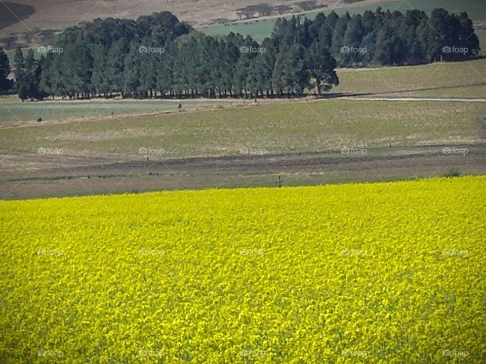 Bright and beautiful