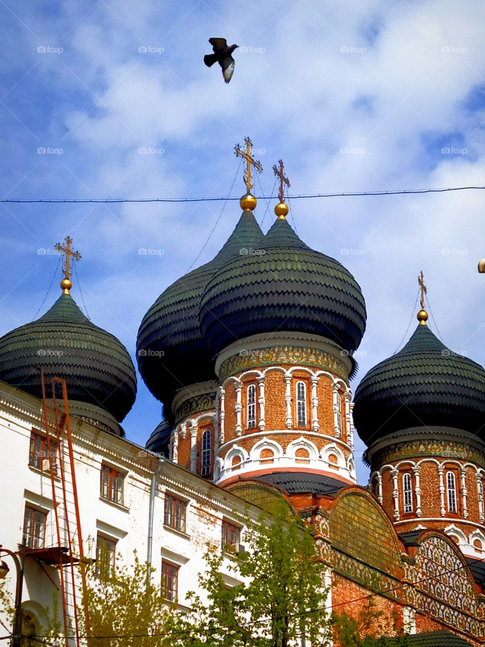 Domes of the Cathedral of the Most Holy Theotokos and a flying dove