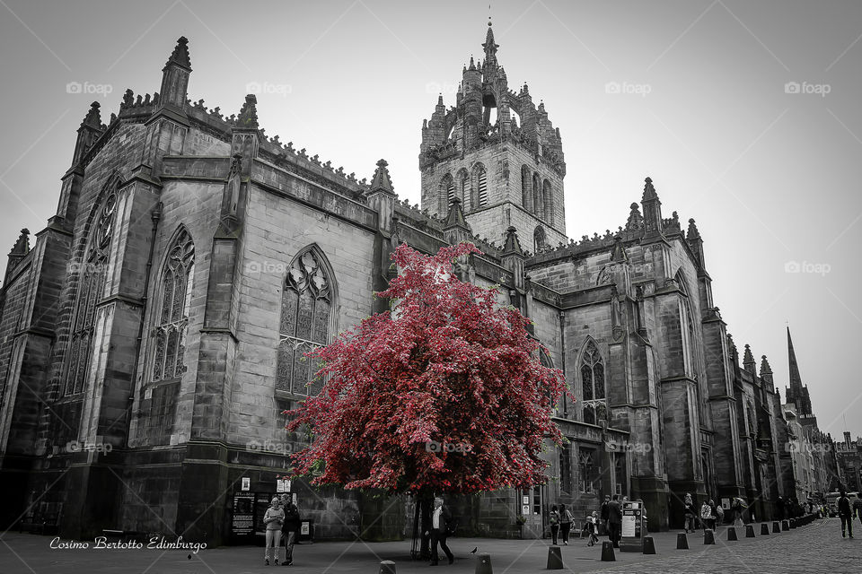 Edimburgo cattedral