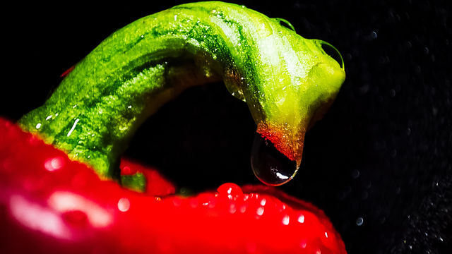 🌶️
