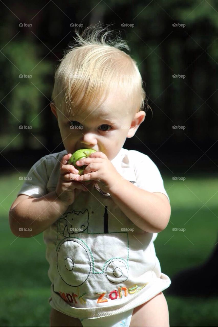 Apple Eating