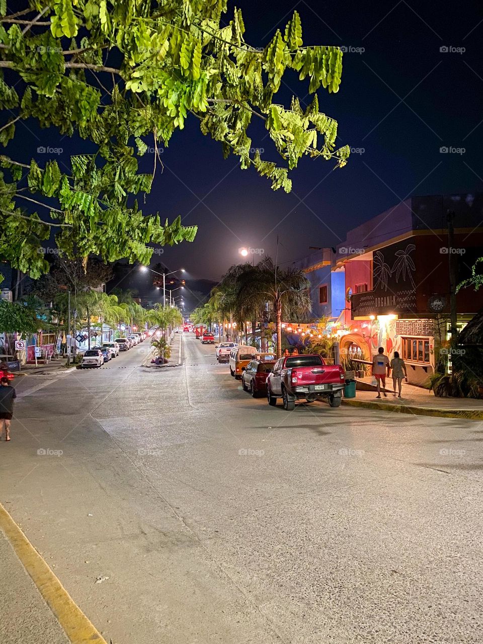 Luz de la luna en el pueblo de Sayulita