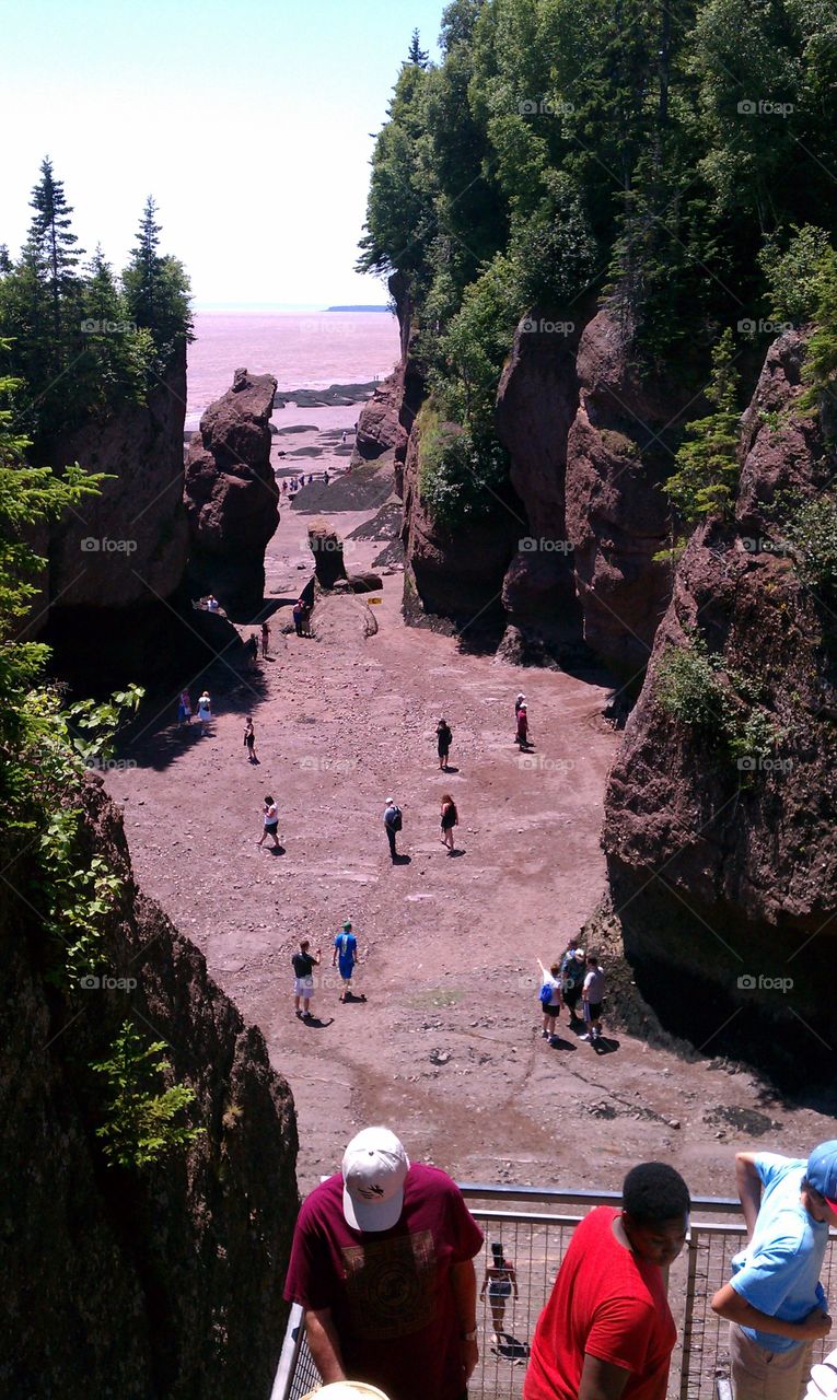 Bay of Fundy