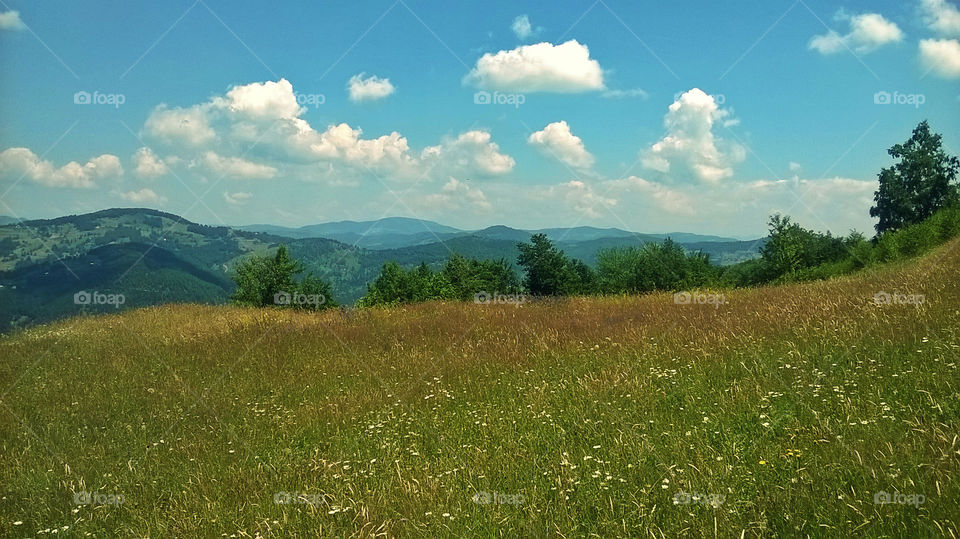 perfect nature. meadow and mountains. amazing s