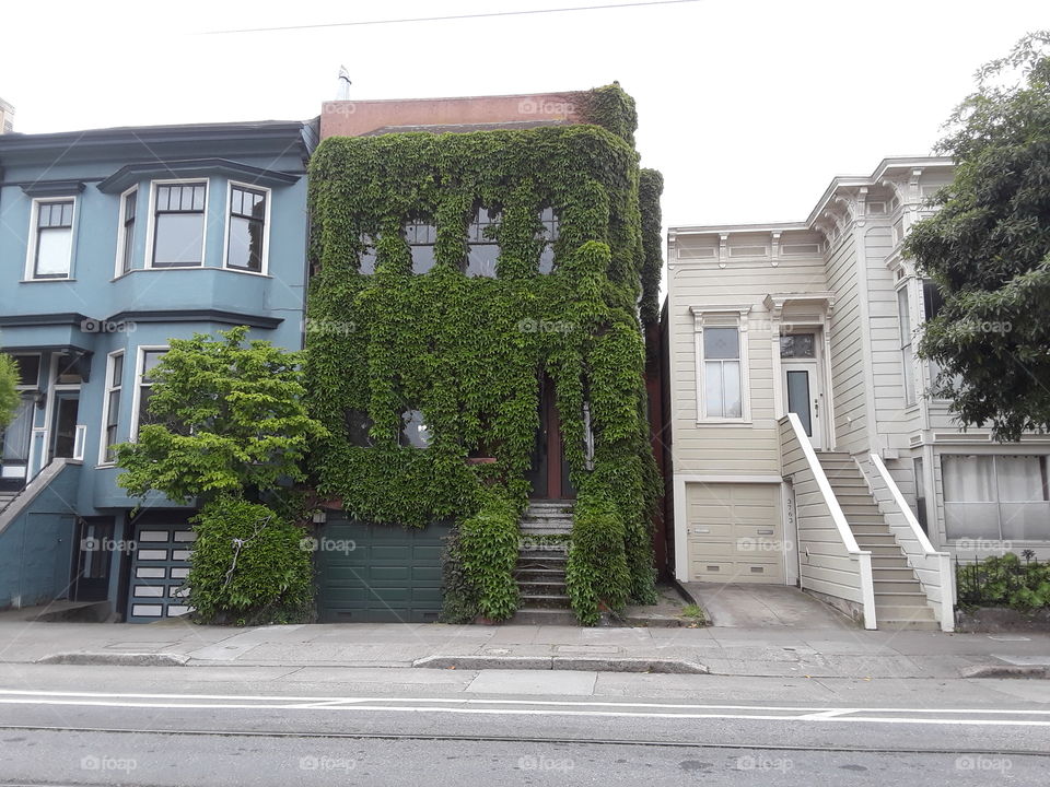 privacy homes San Francisco California