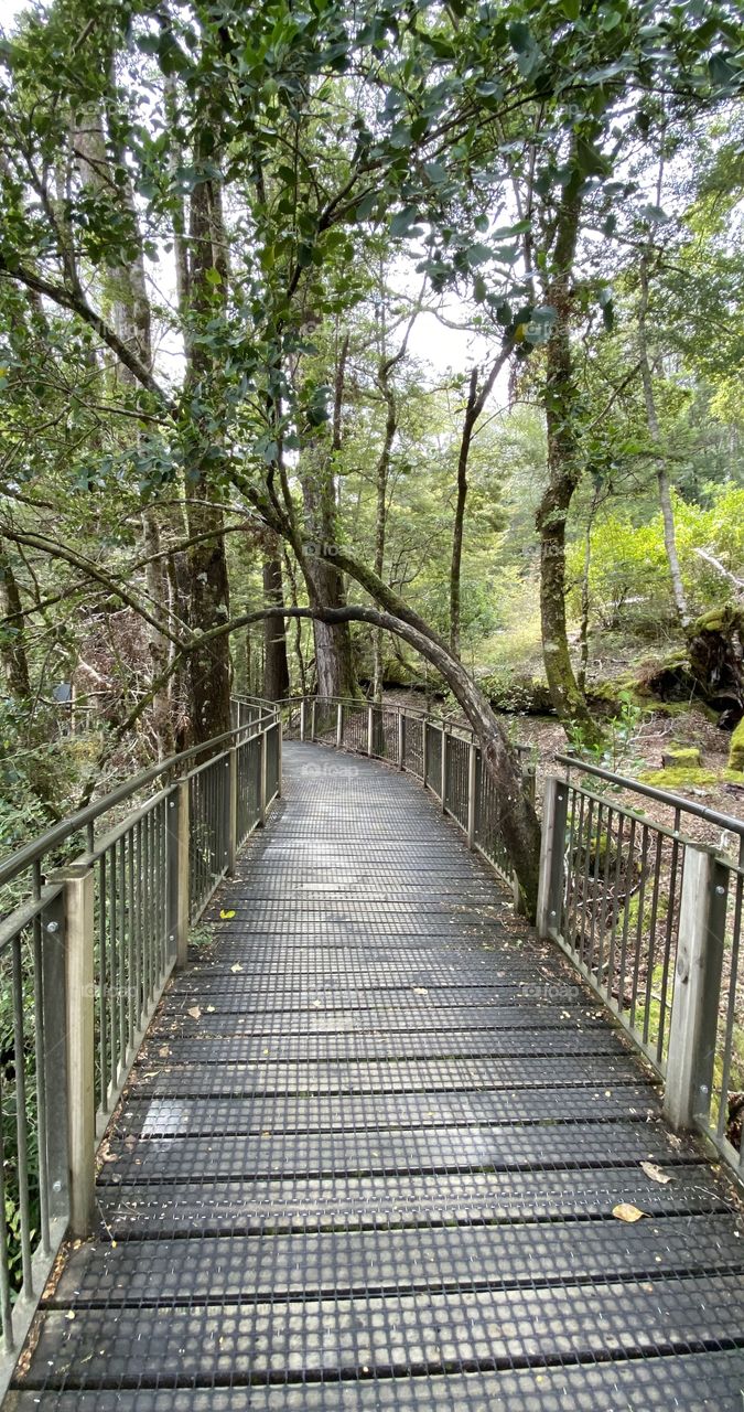 Fiordland National Park