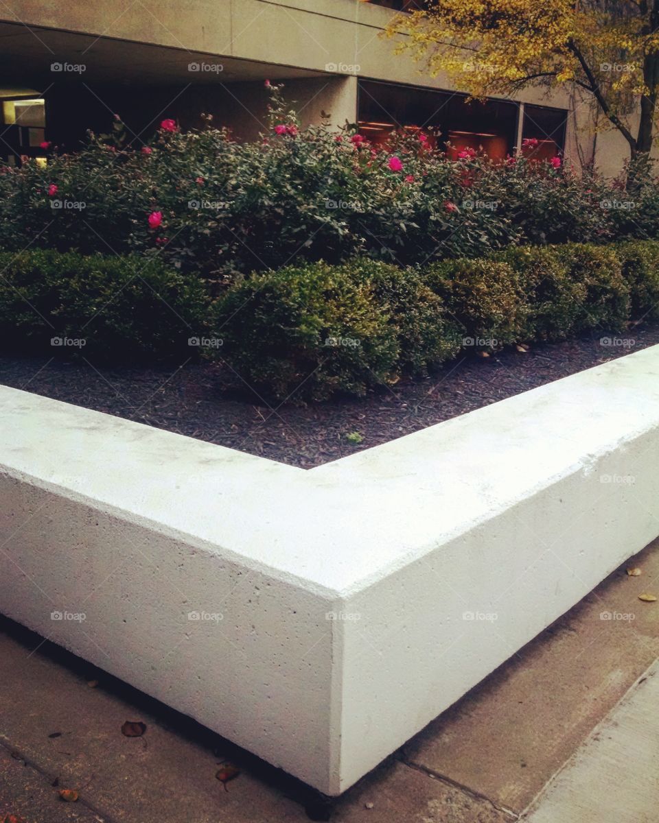 Home, House, No Person, Building, Light