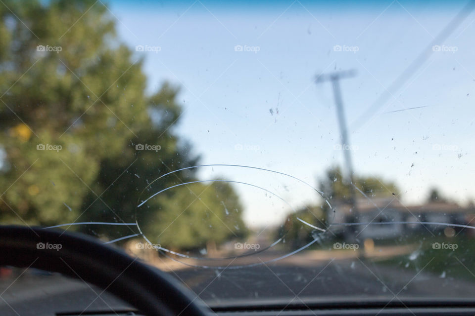 windshield