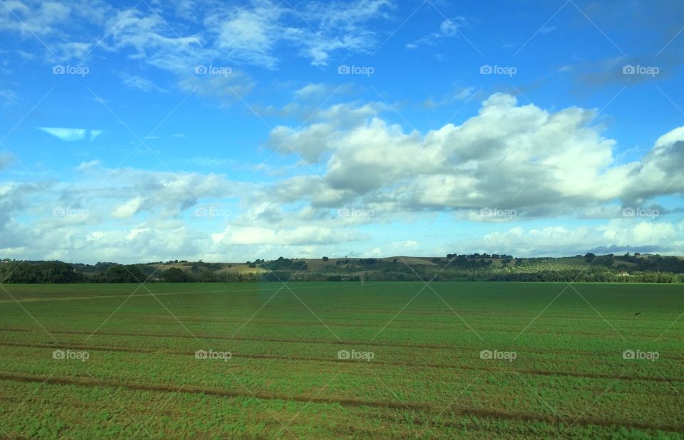 Tuscany field 