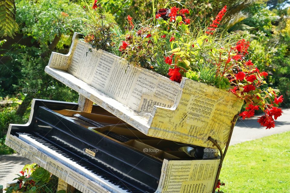 Flowers Growing From A Baby Grand Piano