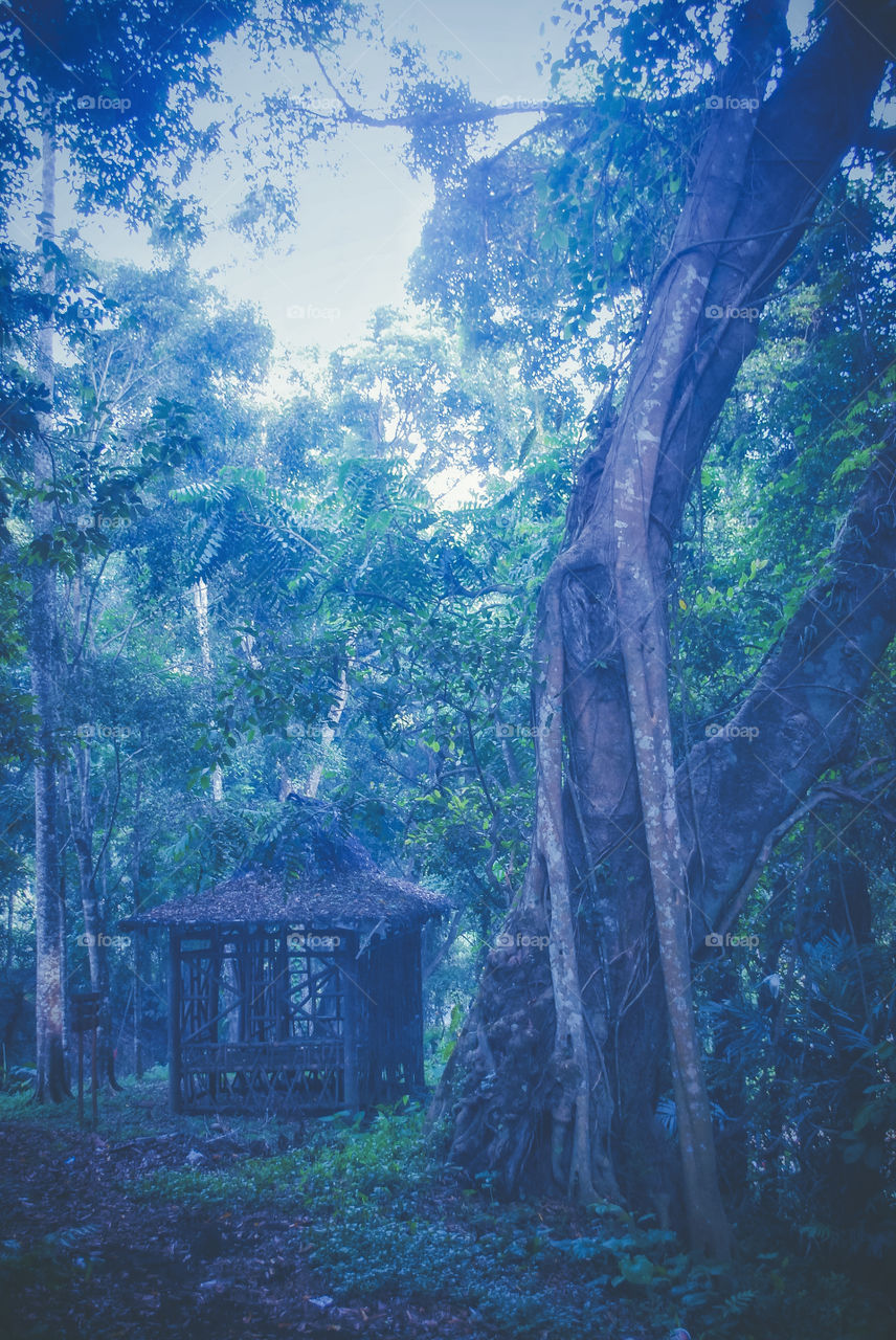 gubuk Di wisata mata air senjoyo