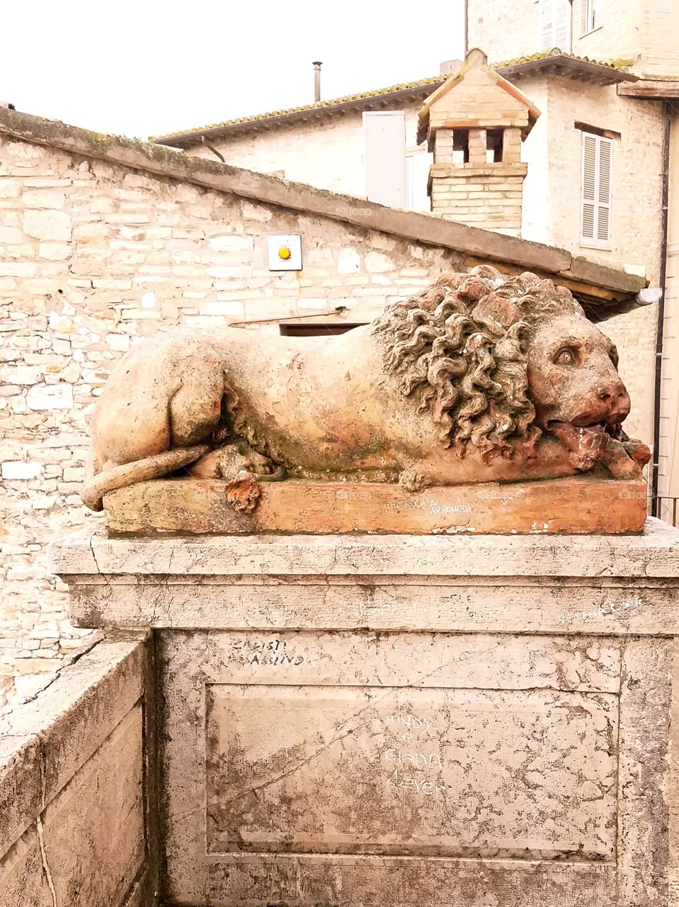 stone lion in Assisi Italy