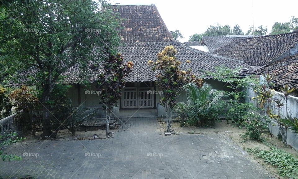 joglo house. traditional house of java (joglo)