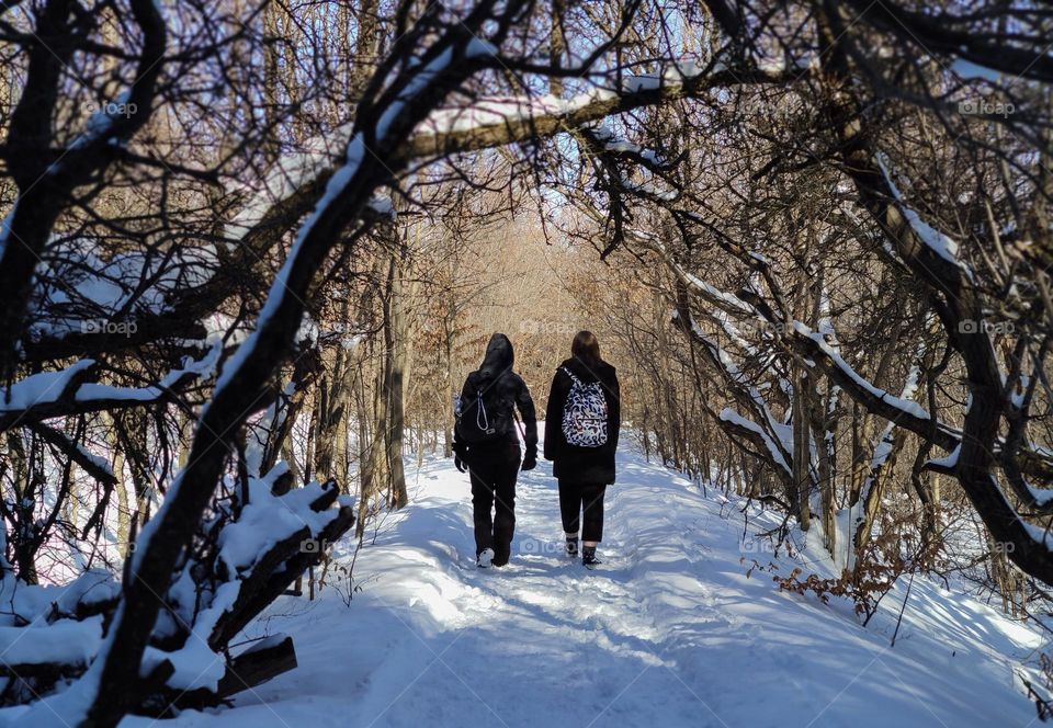 A walk in the forest keeps us healthy and fit