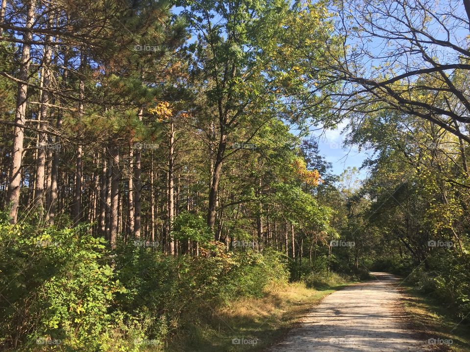 Hiking in Indiana 