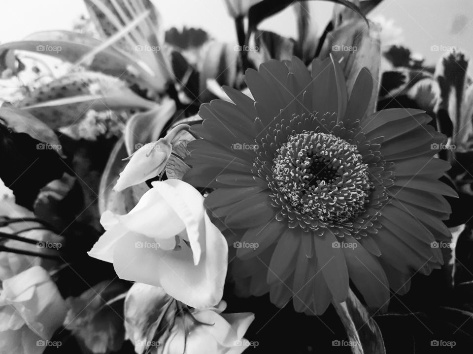 black & flowers