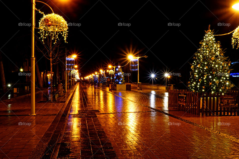 Palanga 10 Chistmas trees in the street