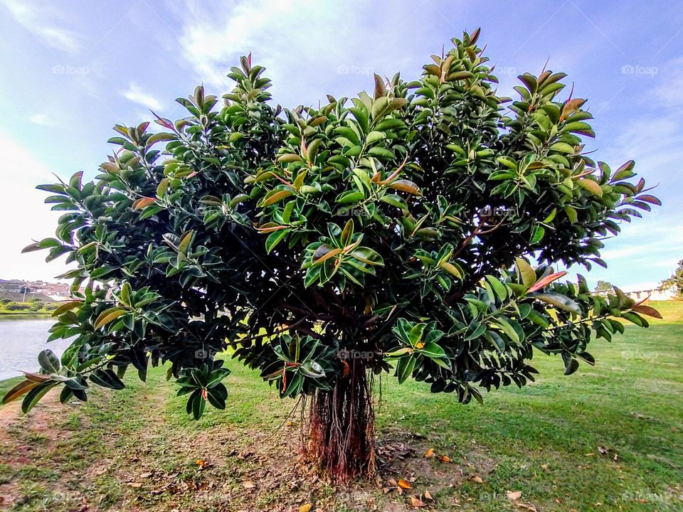 Indaiatuba Ecological Park