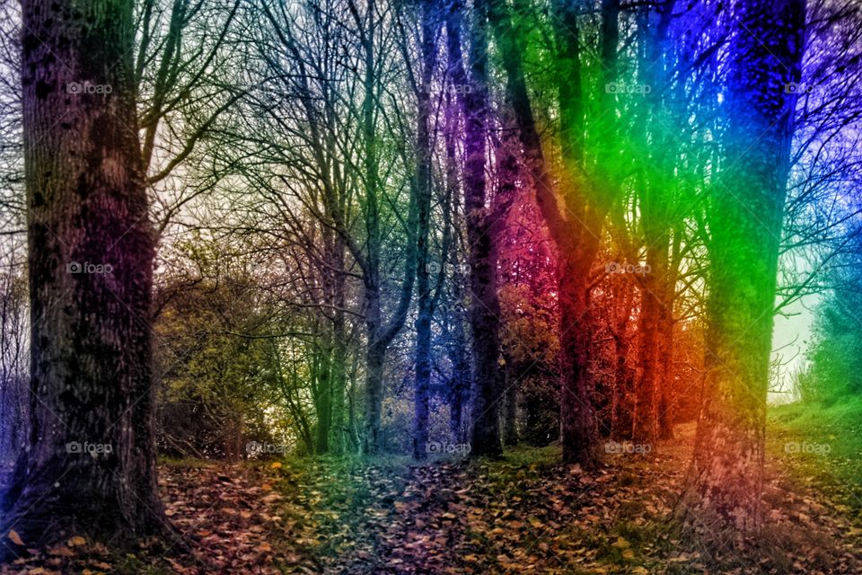 naturaleza fastantica