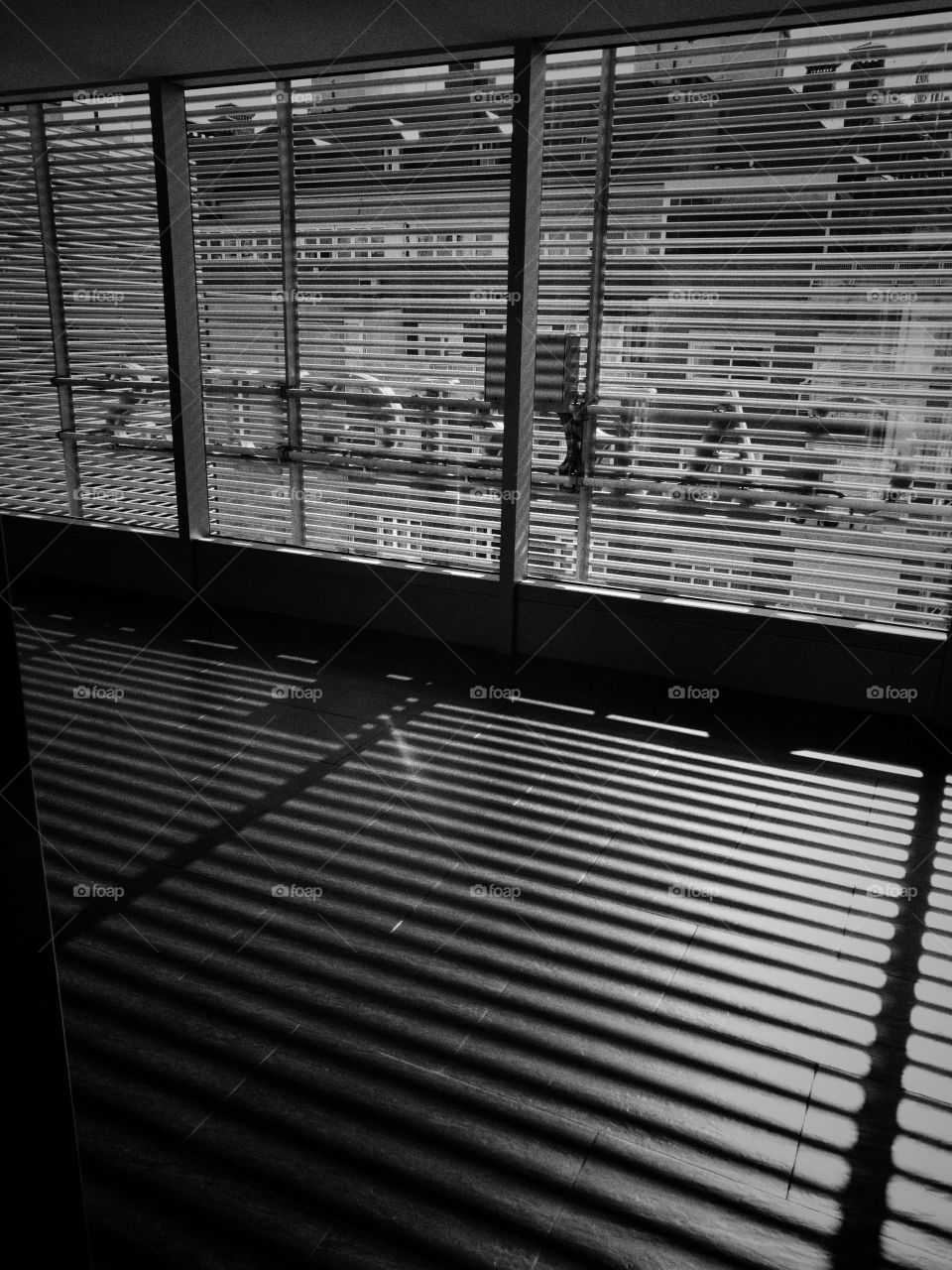 black and white,bussines